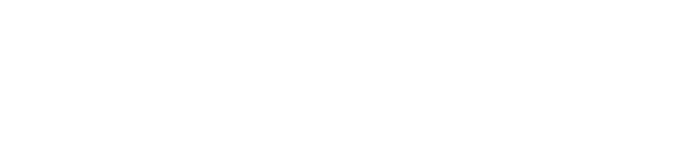 Pro Euromix